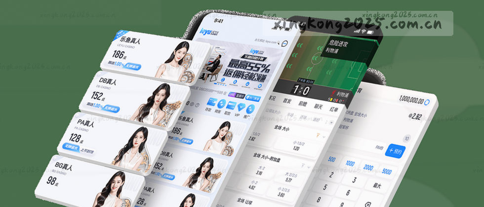 隐私政策与用户权益说明